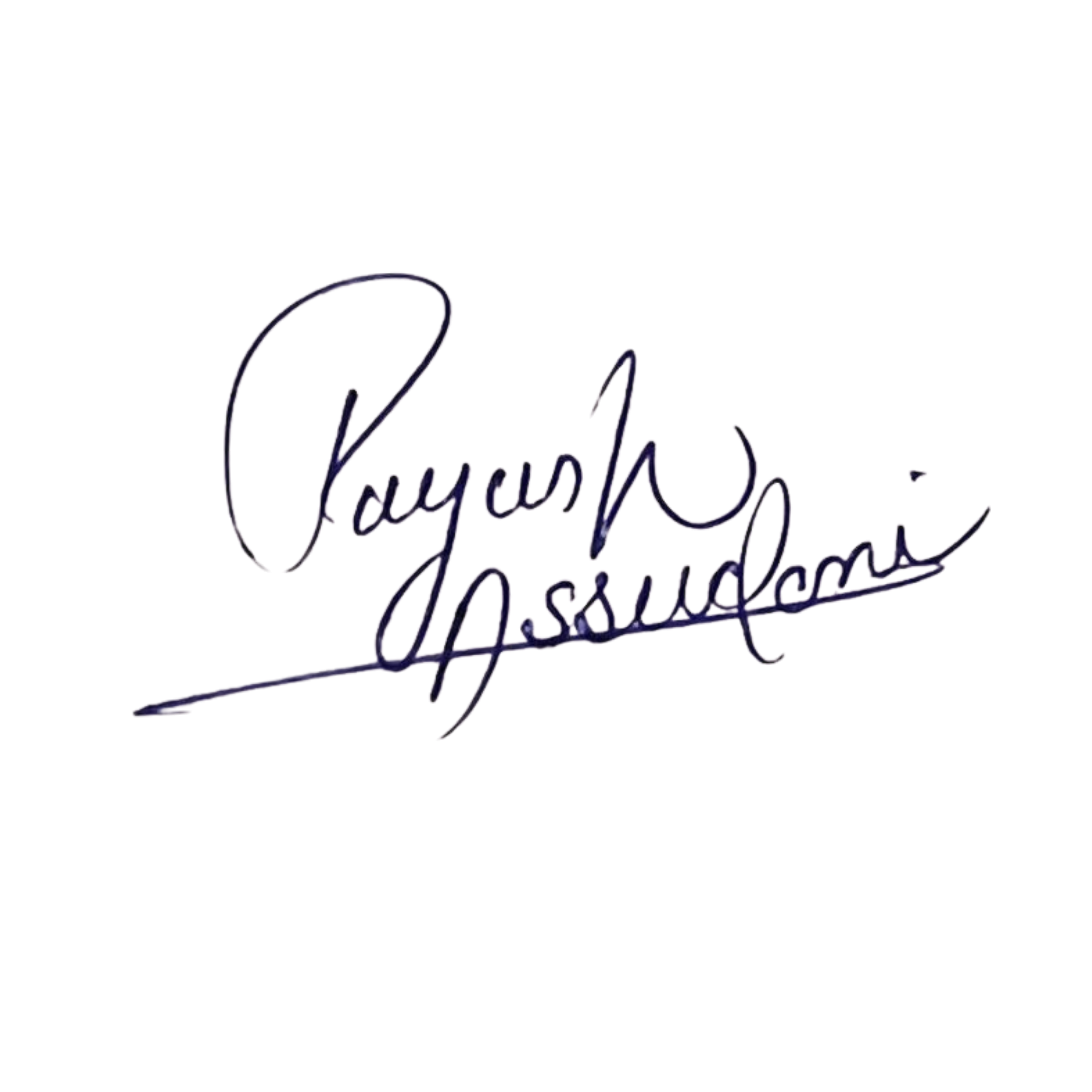 Piyush Assudani signature